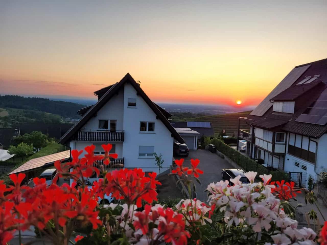 Renatas Ferienwohnung Sasbachwalden Dış mekan fotoğraf